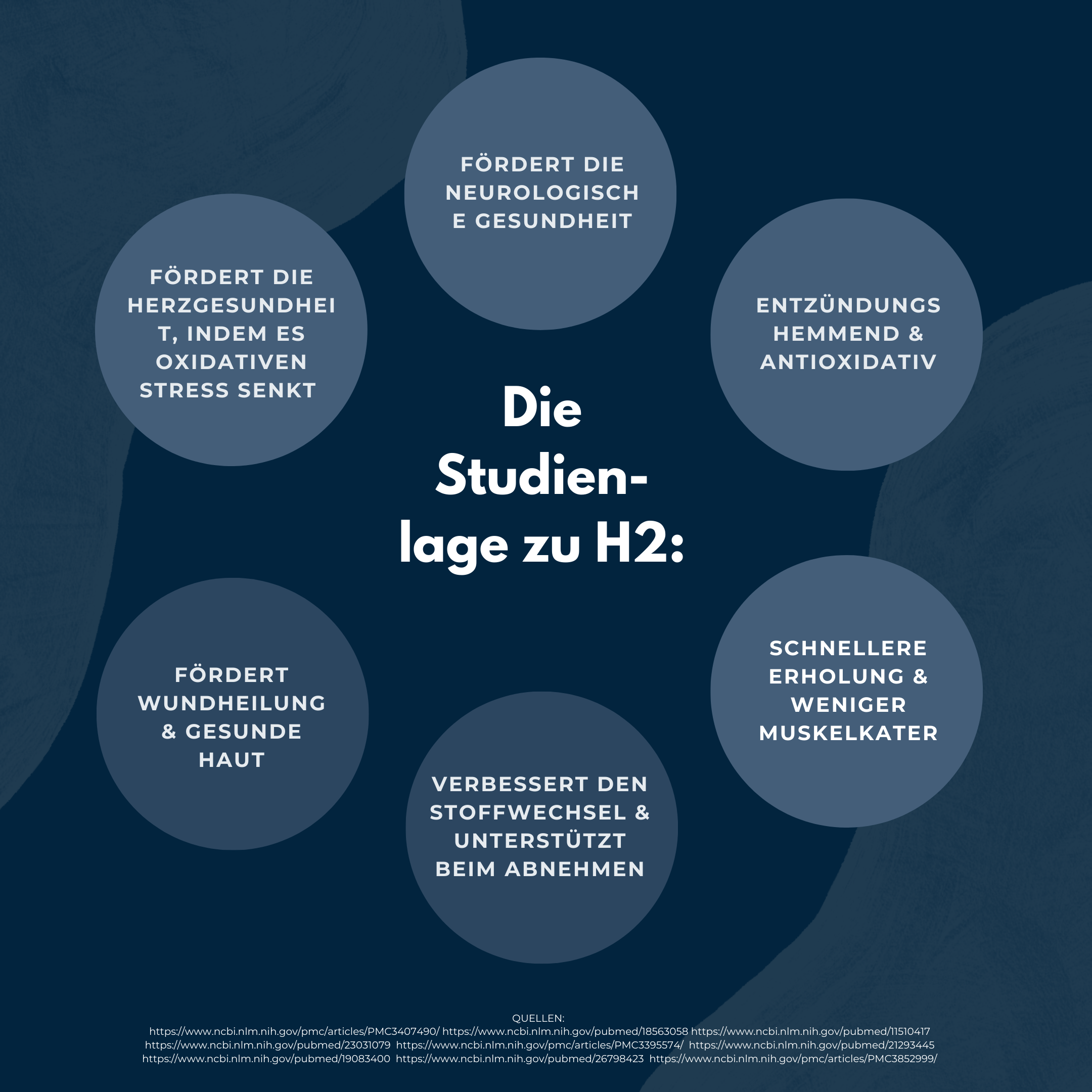 DeinPhysio HYDRO H2GO - Wasserstoff Flasche aus Borosilikatglas